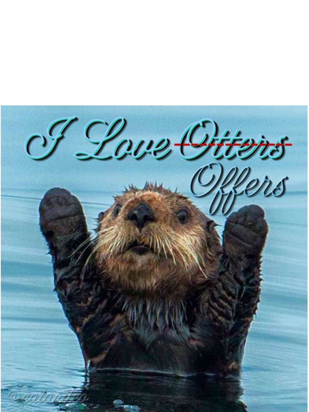Offers (and Otters) Are Always Welcome